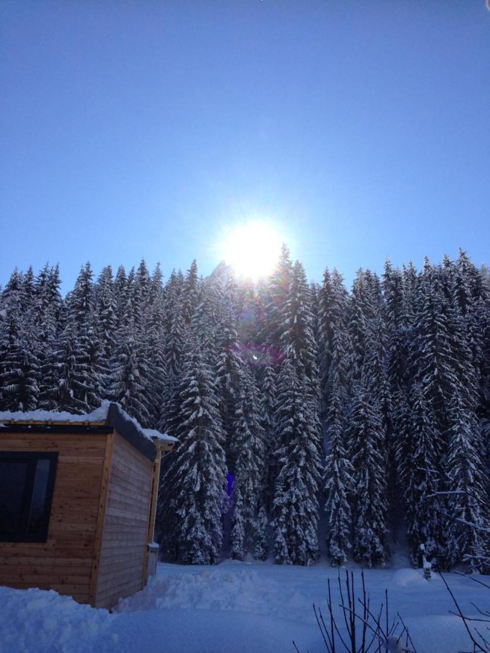 Eirl Dolomites Retreat Sappada Bed & Breakfast Dış mekan fotoğraf
